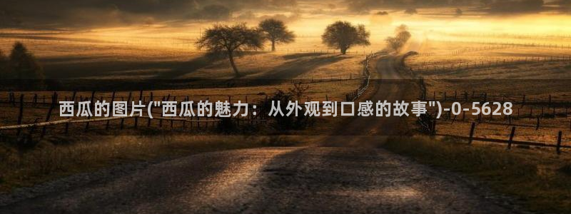 西瓜影院光棍影院