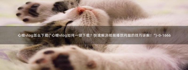破解版糖心vlog