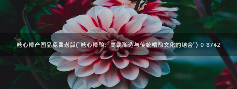 糖心vlog 御梦子：糖心精产国品免费老版(\