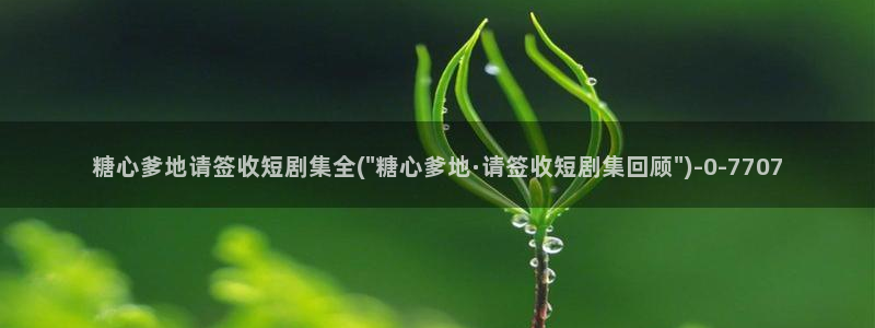 糖必vlog