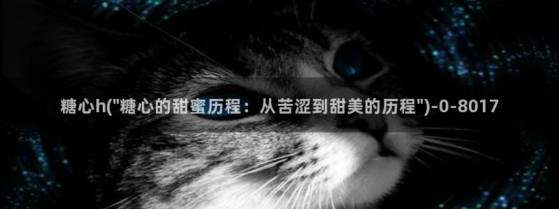 糖心vlog工作室：糖心h(\