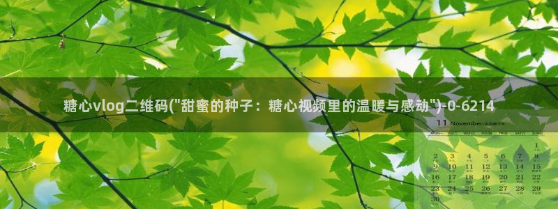 糖心vlog最新