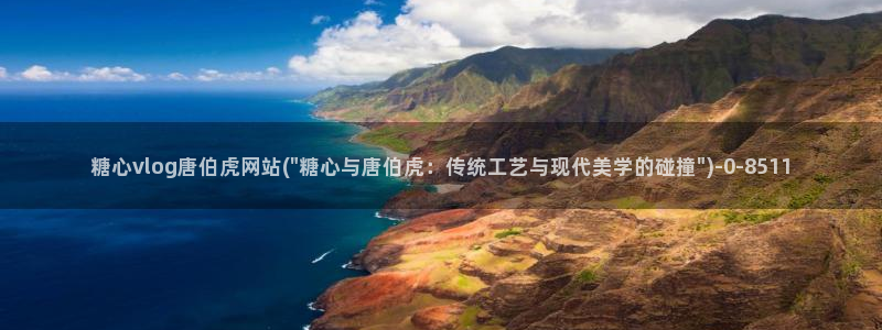 心糖vlogo