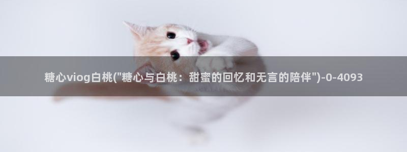 糖心vlog记录