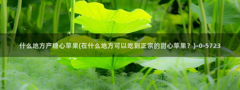 糖心vlog不用下载